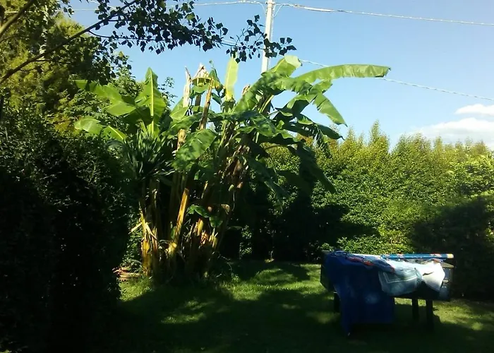 Cortese Санта-Эуфемия-Ламеция