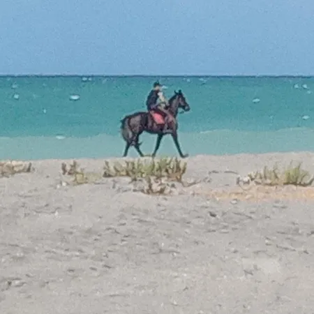 Cortese * SantʼEufemia Lamezia