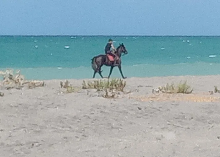 Cortese * SantʼEufemia Lamezia