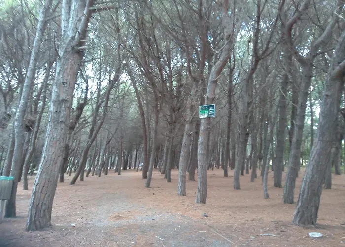 Apartamento Cortese *